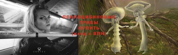 соль ск Алзамай