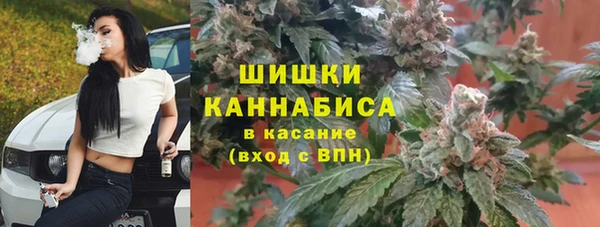 соль ск Алзамай