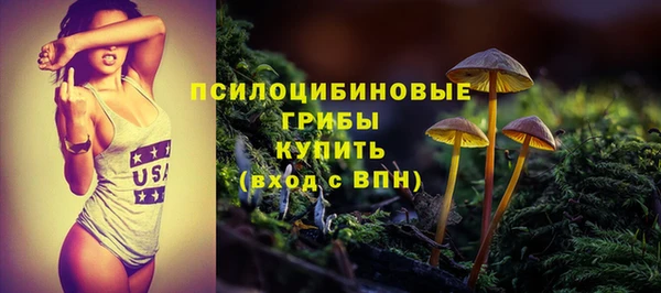 стаф Алексеевка