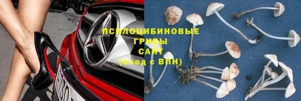 apvp Алексин