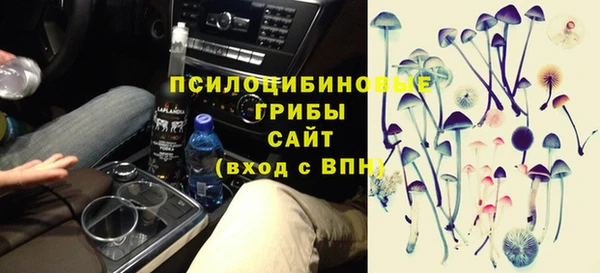 соль ск Алзамай