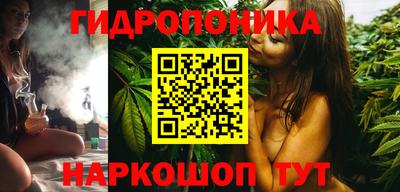 сатива Аша