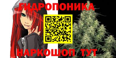 ALPHA PVP Баксан