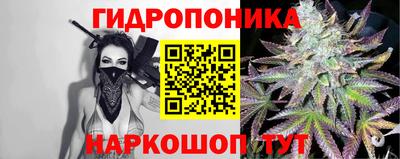 сатива Аша