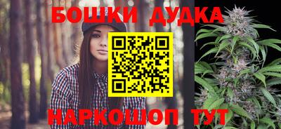 сатива Аша