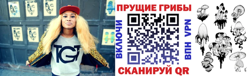 Псилоцибиновые грибы Cubensis  ссылка на мегу зеркало  Ачинск 